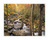 Autumn_creek_bend Autumn_creek_bend