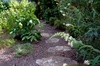 Garden_path_2