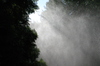 Spray_four_1