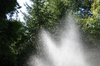 Spray_three