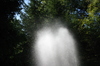 Spray_two