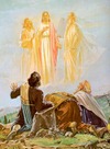 Transfiguration