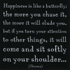 Thoreau_quote