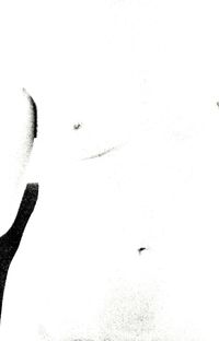 White study 4a torso - dakota dakota 2011