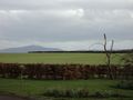 Ireland Mar 2011 275