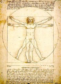 Leonardo - anatomy