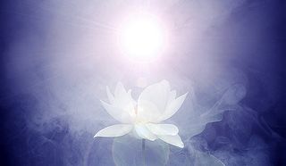 Lotus_Flower_