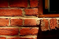 Bricks windowsill #1 erie chapman