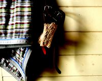 Harness and blanket. 1ajpg