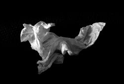 Shape study #2 - erie chapman 2011