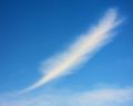 Feather Cloud