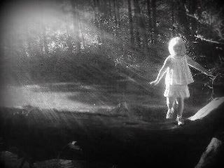 RaefilledLight2011_n