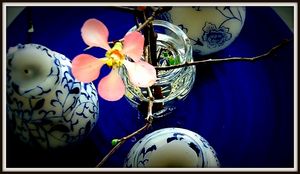 Flower and water -copyright erie chapman 2012