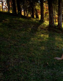 Autumn with hand - copyright erie chapman 2012