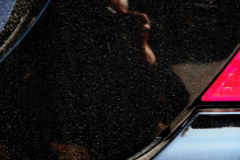 Black car #1 copyright erie chapman 2012