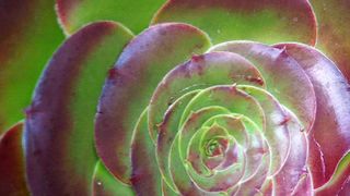 Copyright erie chapman 2013