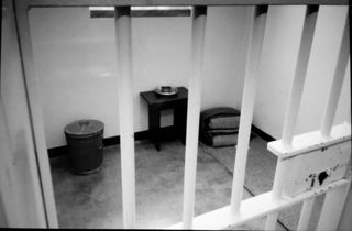 2 mandela cell