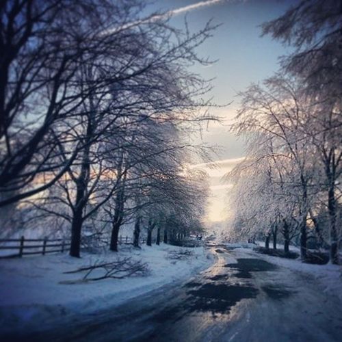 Road Less Travelled L.Gayle