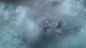 Mystery - by erie chapman