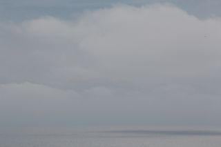 Gray sea - erie chapman 2014