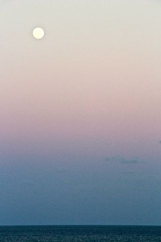 Moonrise florida 2 - erie chapman