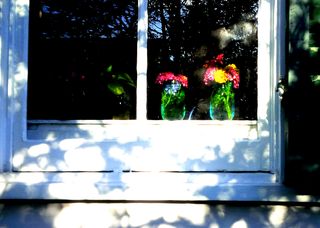 Window flowers new orleans