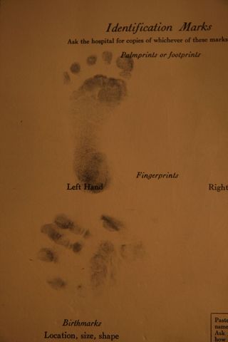 Erie Foot Prints