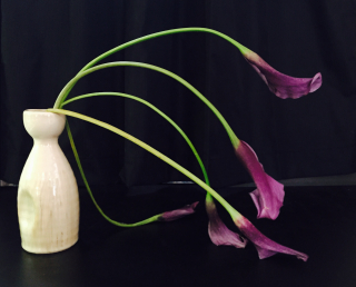 Callas fading two -chapman