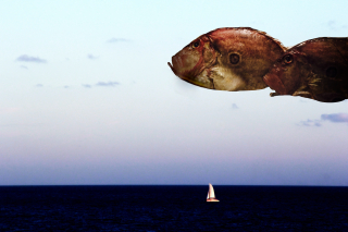 Sailboat & redfish 3