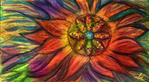 Harvest Season 11-27 17