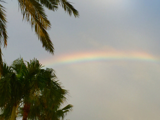 Rainbow - florida