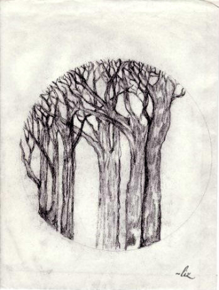Trees