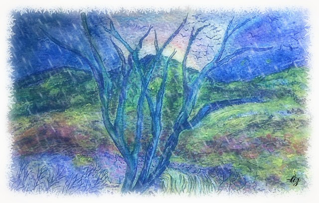 Manzanita Tree in Winter 1-11-2018 Manzanita Tree in Winter 1-11-2018