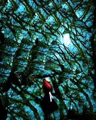 Shattered patterns 2