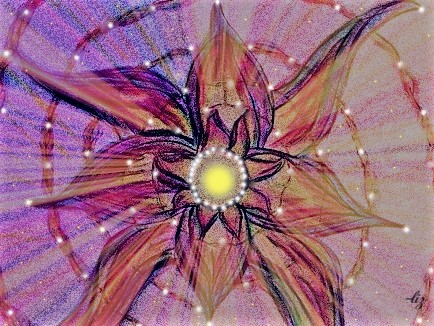 Flowering spirituality 3