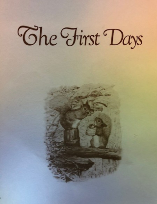 BABYS FIRST DAYS
