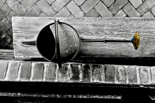 Watering can - erie chapman 2016