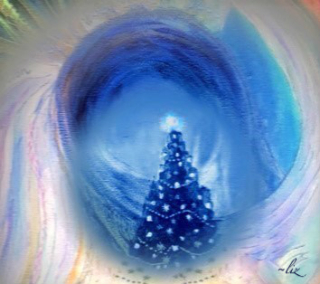 Christmas Tree Beauty
