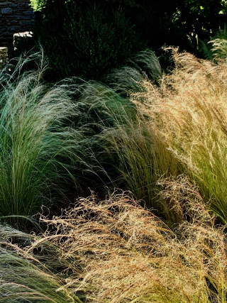 BECKY'S HEATHER 72mb - 13.7mb