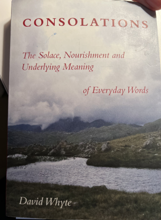 Consolations  David Whyte