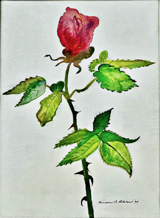 Marian's Rose #1