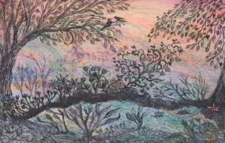 Spring.Moments.of.Awe