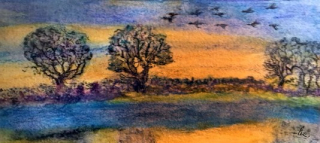 Geese in V formation 6 30 2018 1