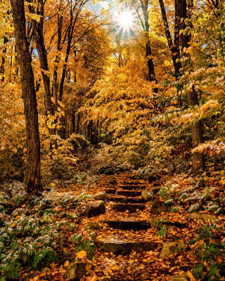 Autumn-Lake Placid Adirondack Mtnd 2022 C. Maio