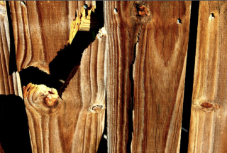 BROKEN FENCE - ERIE CHAPMAN