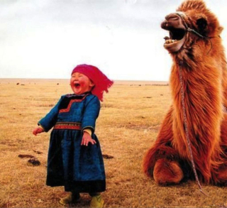 Girl-and-laughing-camel-2